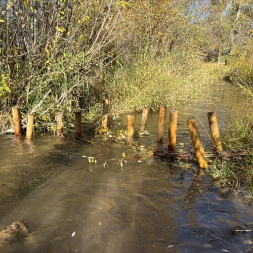 Posts need to be filled with sticks, brush, and mud to make a BDA