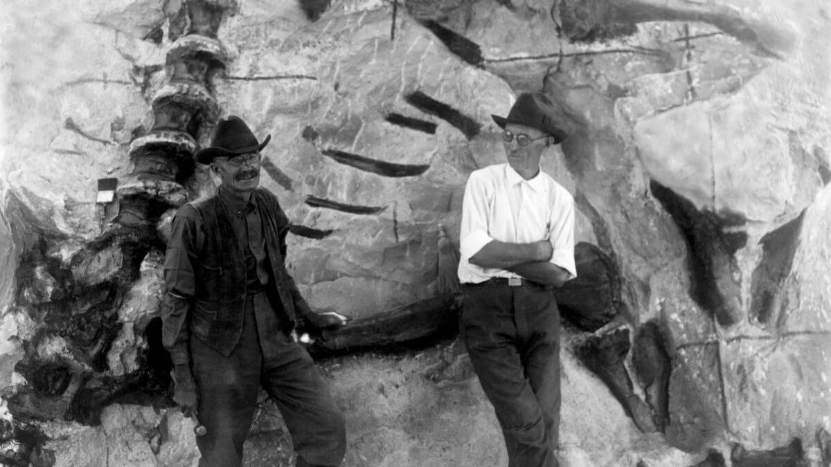 Earl Douglass (left) and Carnegie Museum Director William J. Holland, posing with a fossil.