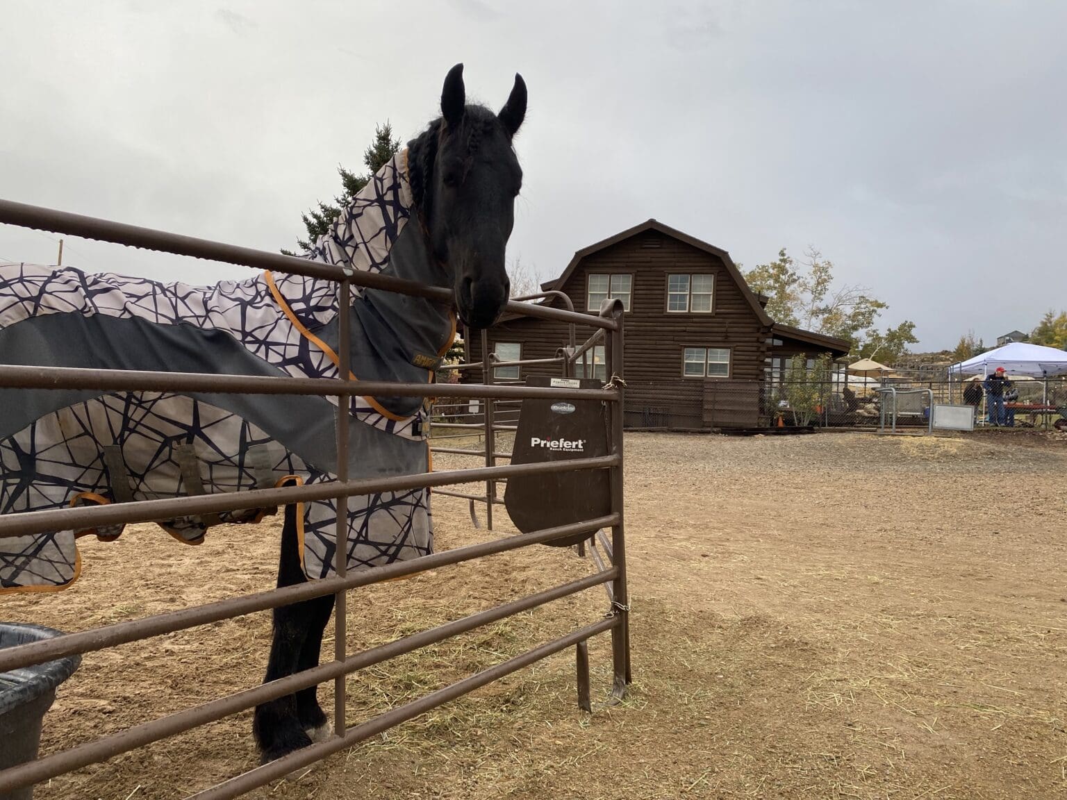 SNAPPED County candidate gives literal stump speech TownLift, Park