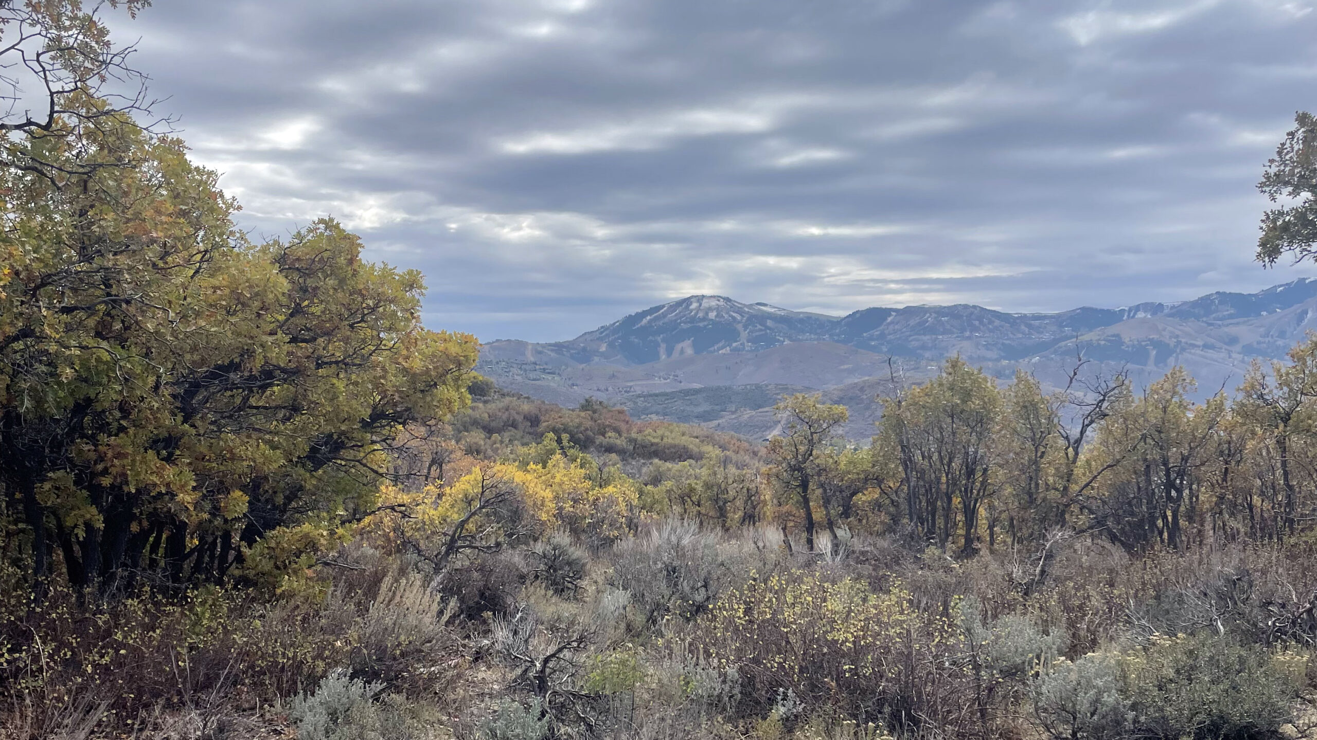 Warm and dry weather in the forecast to close out October TownLift