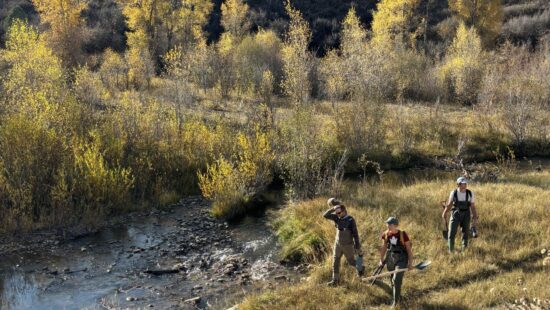 Volunteers working on the South Fork of Chalk Creek are building Beaver Dam Analogs to slow water flow and restore ecosystems impacted by centuries of overgrazing, mining, and trapping.