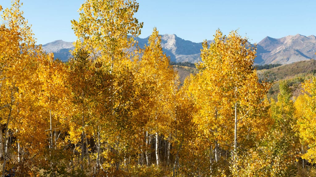Proposed Utah Bill would rename Alpine Loop Scenic Byway after Robert Redford
