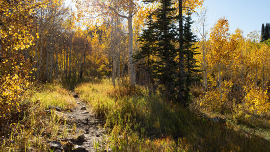 Alpine Loop, fall 2024.
