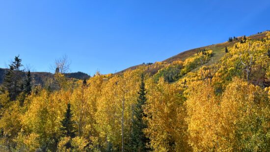 October colors peek with warm temps and dry weather.