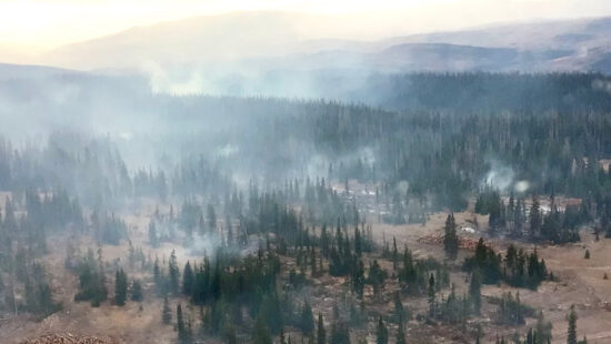 Smoke rises from trees surrounding log decks in the Donut Hole area on October 16, 2024.