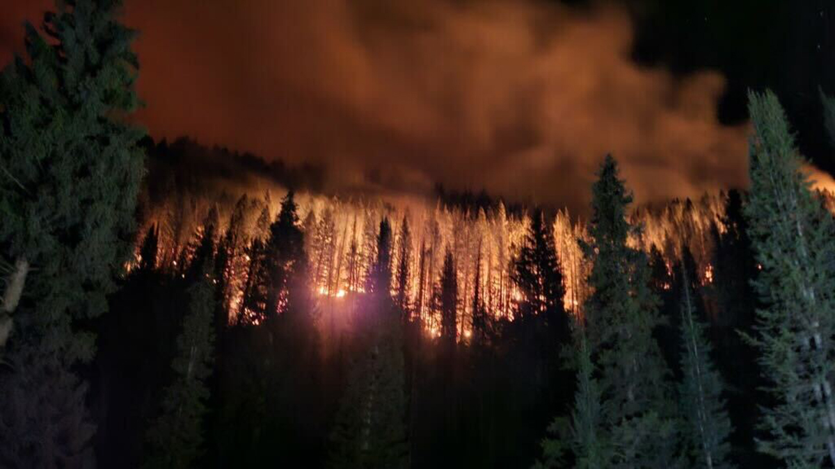 The Yellow Lake Fire burns in a stand of timber near Mill Hollow Road on Friday, Oct. 5, 2024.