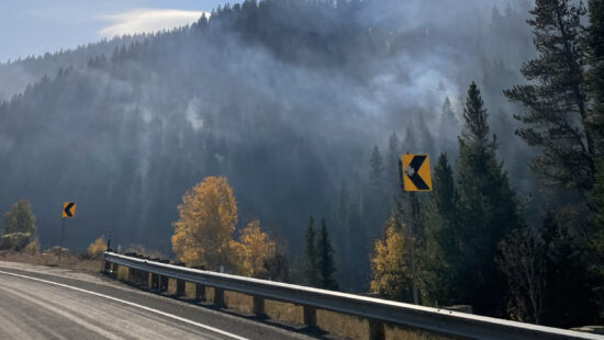 A section of smoking trees along Route 35 on October 8, 2024.