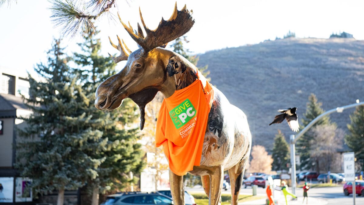 Live PC Give PC, Nov. 15, 2024.