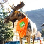 Live PC Give PC, Nov. 15, 2024.