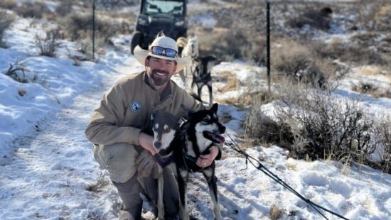 Fernando Ramirez, founder of Luna Lobos Dog Sledding, shares a moment with two of his sled dogs on the snowy trails of the Park City ranch, showcasing the strong bond between musher and dog.