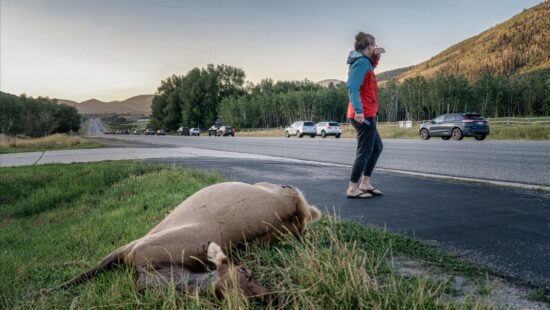 Shauna Hart, won the Judge’s Choice Award in the 2025 Conservation category by the North American Nature Photography Association (NANPA).