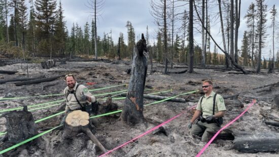 Matt Jemmett and James Ailey investigating the Yellow Lake Fire site.