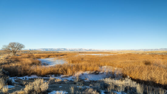 DWR has been awarded up to $37.2 million in federal grants to support fish and wildlife habitat improvement projects in southeastern Utah