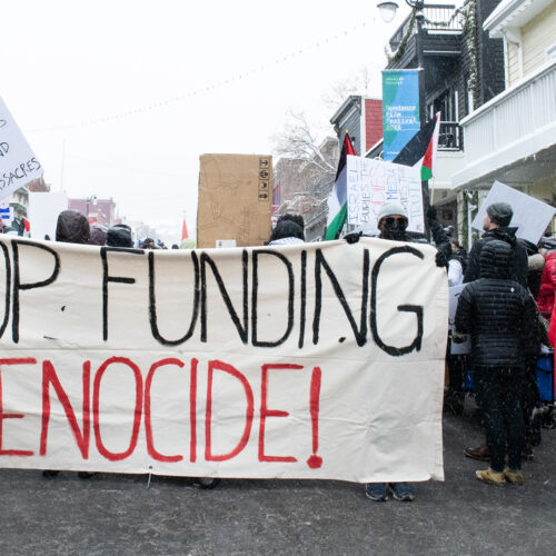 Palestinian March on Main St. during Sundance Film Festival.