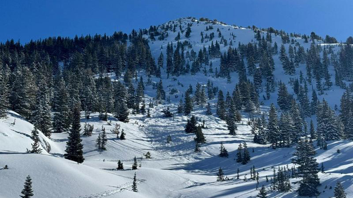 A view of the East Bowl where an avalanche occurred on Feb. 8 claiming the life of Higinio Juan Gonzales, 59, of Salt Lake City.