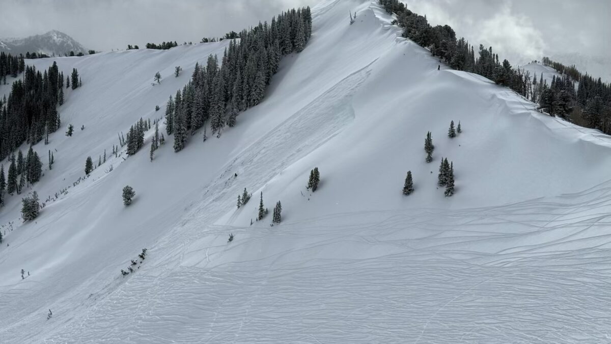 Photos of a backcountry avalanche in the Dutch Draw area from February 8, 2025.