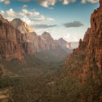 brown mountains with forest