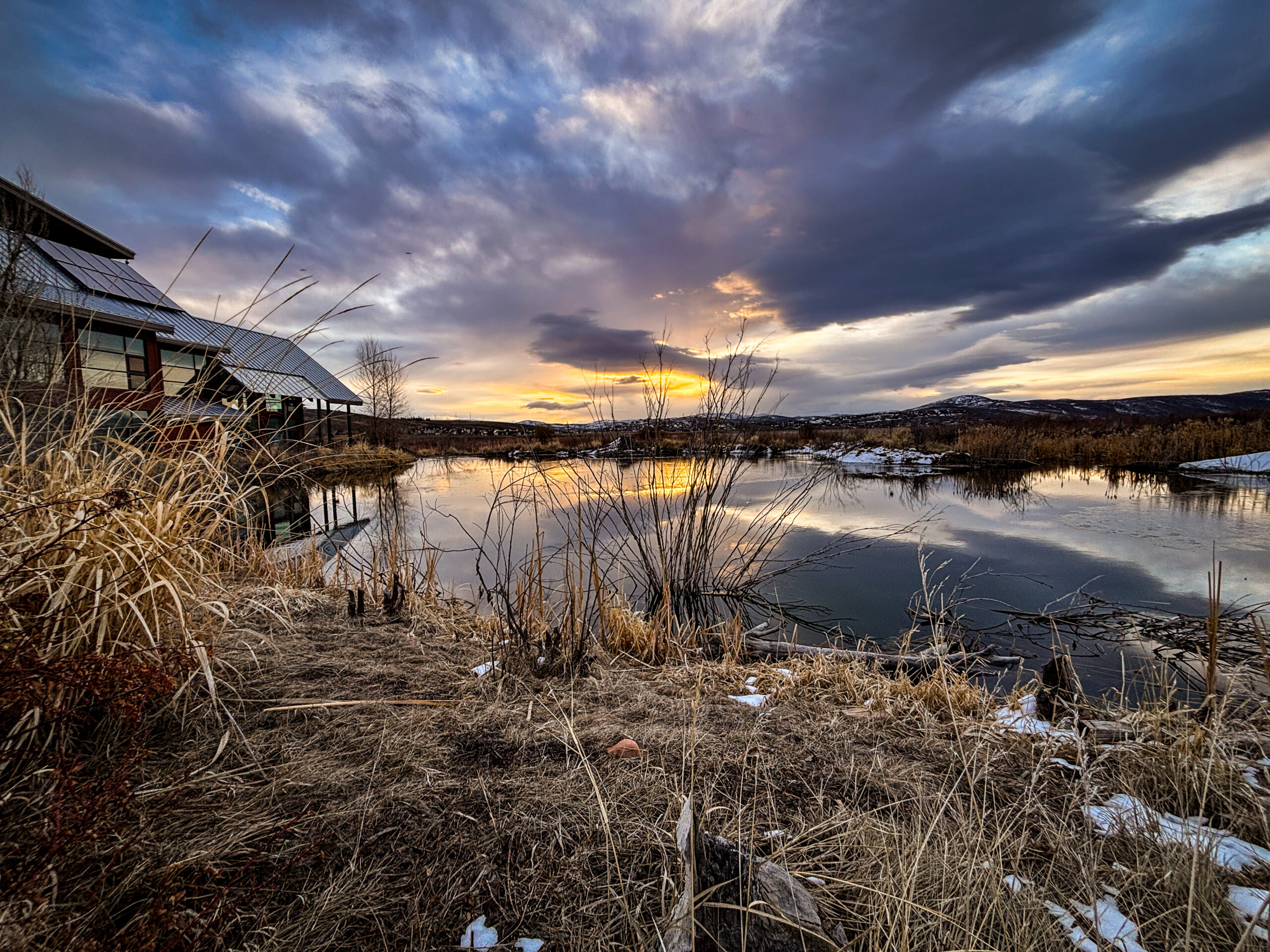 Wild Winter Art Market returns to Swaner Preserve on Dec. 19