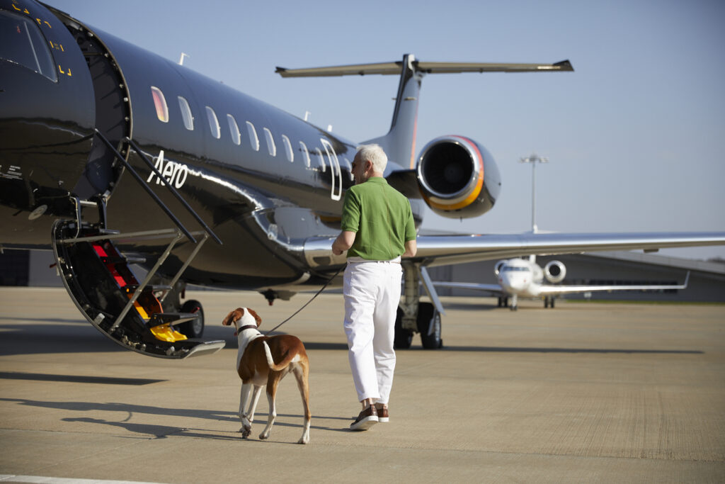 Take the stress out of traveling with (or without) your best friend.