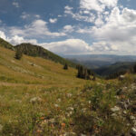 Wildflowers blanket Bonanza Flat, the 1,500‑acre alpine plateau Utah Open Lands and partners saved from a 260‑home, 18‑hole‑golf‑course development.
