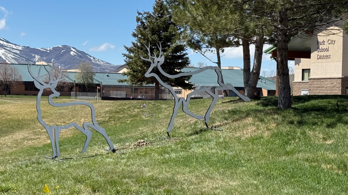 The silhouettes aim to alert motorists to the frequent movement of wildlife across this busy roadway, enhancing safety for both animals and people.