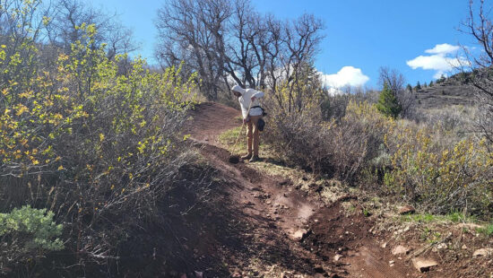 A Basin Rec trail crew member at work last week.