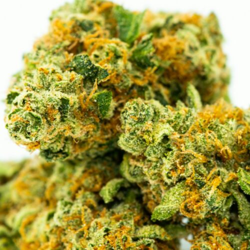 Martin Davis Little, 40, and Shadaya Yvonne Weaver, 28, were pulled over for speeding near milepost 156. Upon approaching the vehicle, the trooper reported detecting a strong odor of marijuana coming from inside the van.