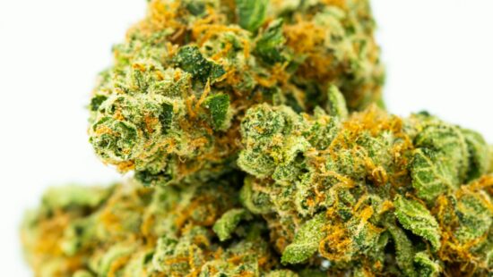 Martin Davis Little, 40, and Shadaya Yvonne Weaver, 28, were pulled over for speeding near milepost 156. Upon approaching the vehicle, the trooper reported detecting a strong odor of marijuana coming from inside the van.