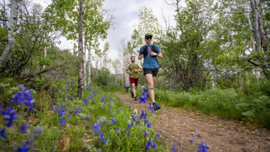 White Pine Touring invites everyone to the trails for a weeks long scavenger hunt and prizes.