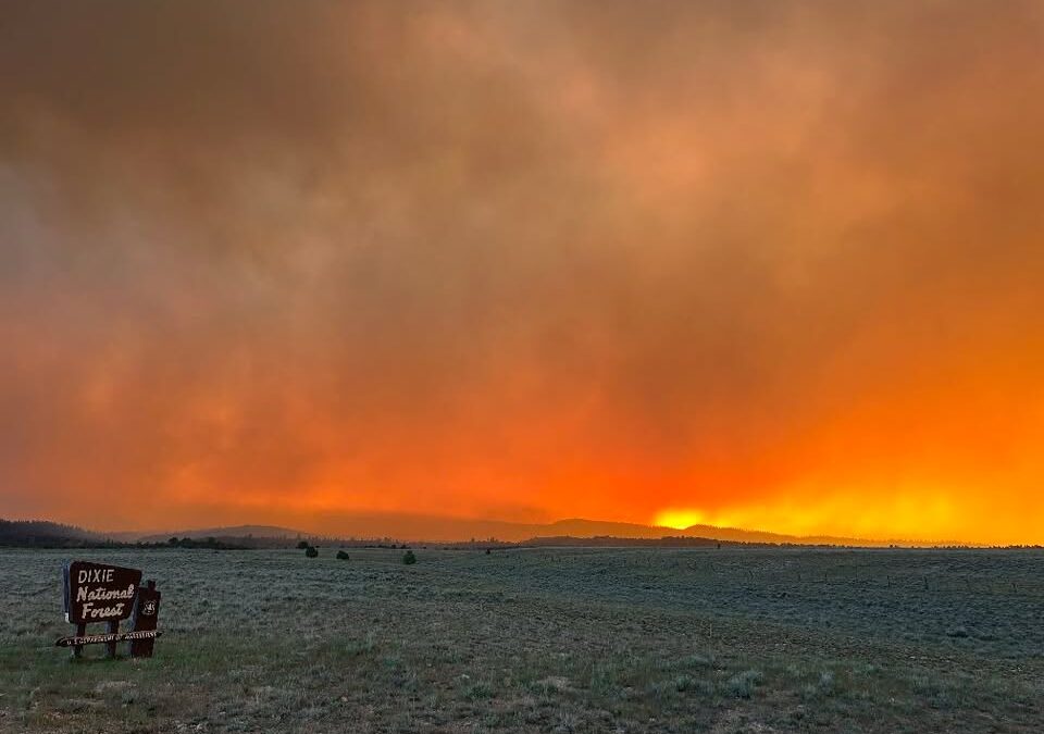The France Canyon Fire turns the sky bright orange on June 21, 2025.