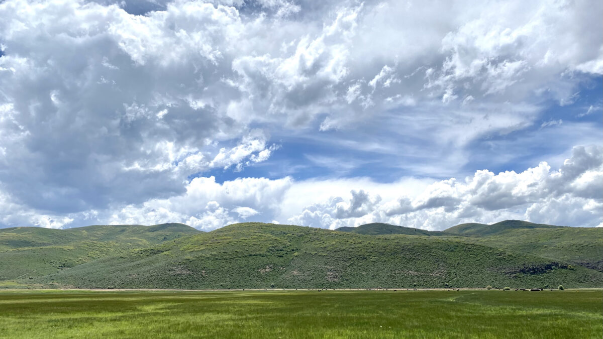 Maxo Meadow in Kamas Valley, now protected under a conservation easement through Summit County’s open space bond funds.