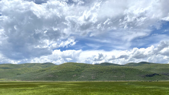 Maxo Meadow in Kamas Valley, now protected under a conservation easement through Summit County’s open space bond funds.