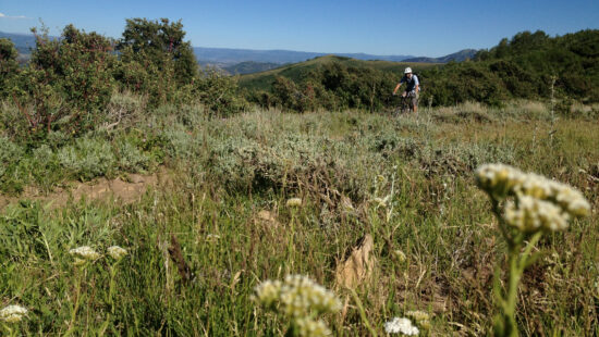 Mountain biker on Baker-Griswold Open Lands Preserve.