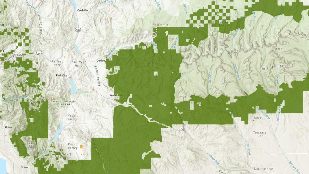 A screenshot of U.S. Forest Service land that would be available for sale if Sen. Mike Lee’s provision passes with the GOP’s budget reconciliation package.