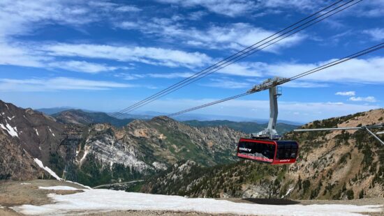 Snowbird.