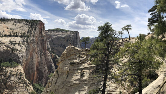 A view from Zion National Park along a popular hiking trail.