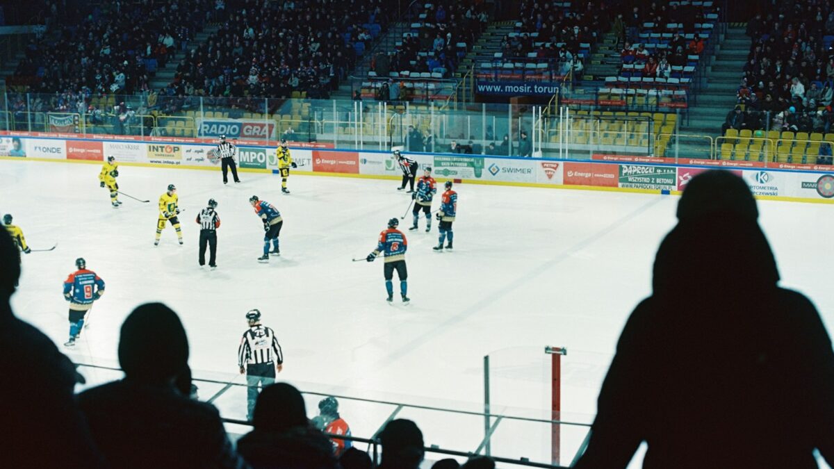 Utah Grizzlies start searching for a new den.