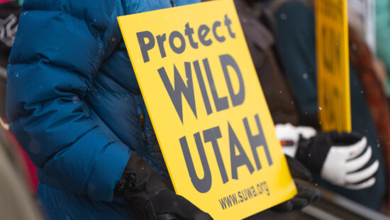 People rally in opposition of Utah’s lawsuit attempting to take control of federal lands at the Capitol in Salt Lake City on Saturday, Jan. 11, 2025.