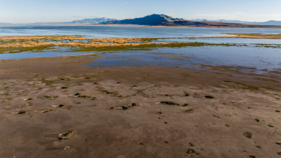The shores of the Great Salt Lake near Syracuse, with Antelope Island in the background, are pictured on Tuesday, May 21, 2024.