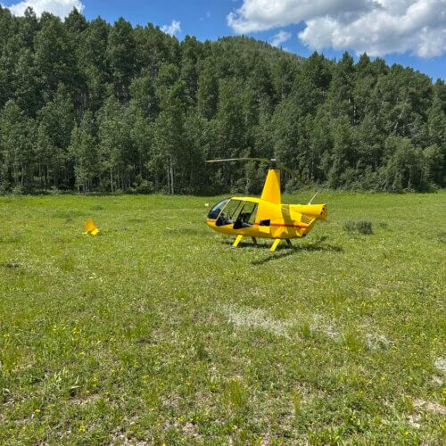 Survivors hike for help after helicopter - 516587763 122133288206731939 2262535111092419297 N 500x500 