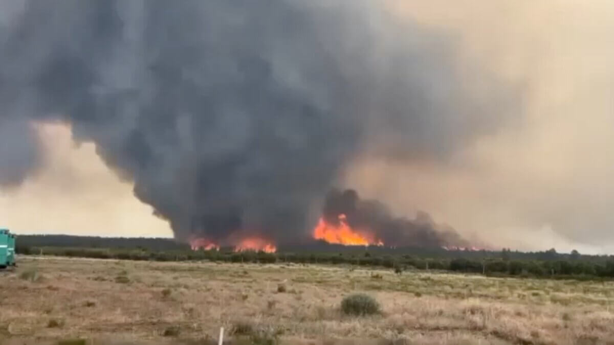 A rare fire vortex, or “firenado,” spins above the Deer Creek Fire near La Sal, Utah, on July 12, 2025.