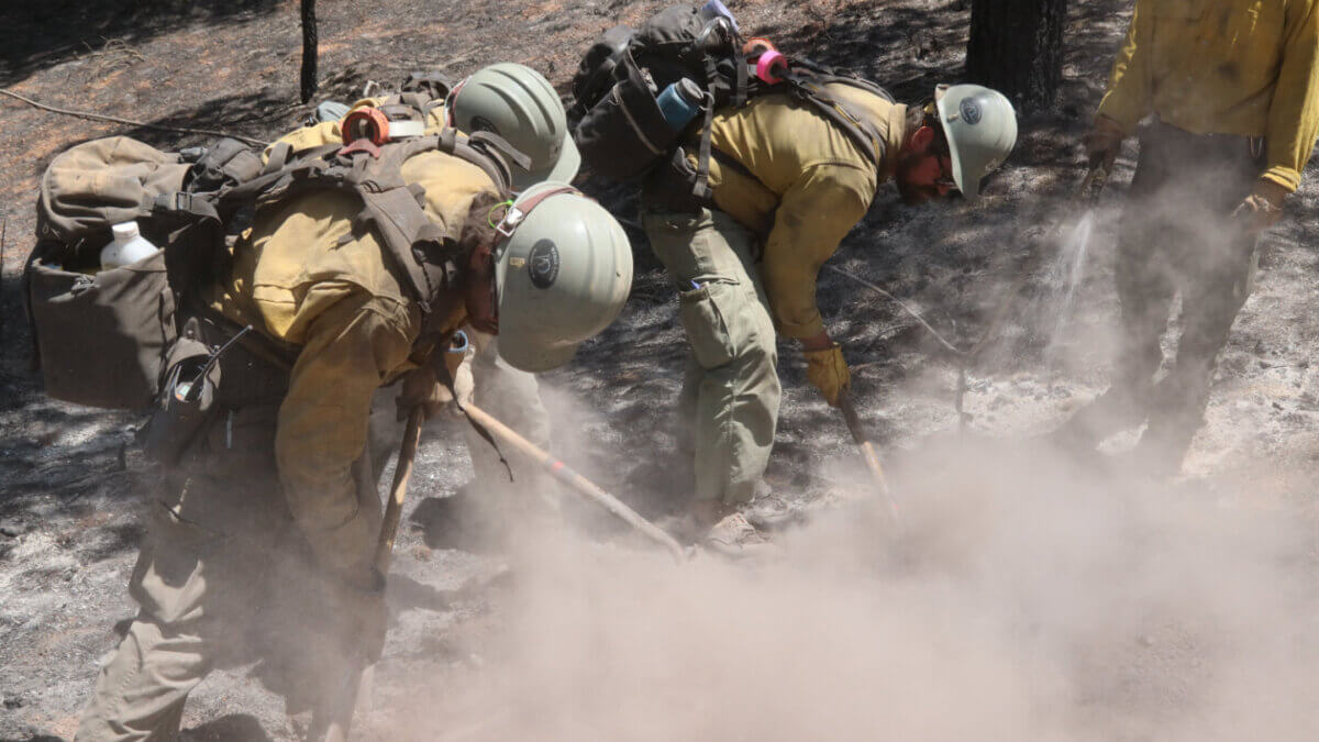 Fire crews work on a fire line at the France Canyon fire suppression effort this week.