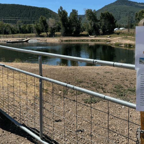 Willow Creek pond is currently closed to park users.