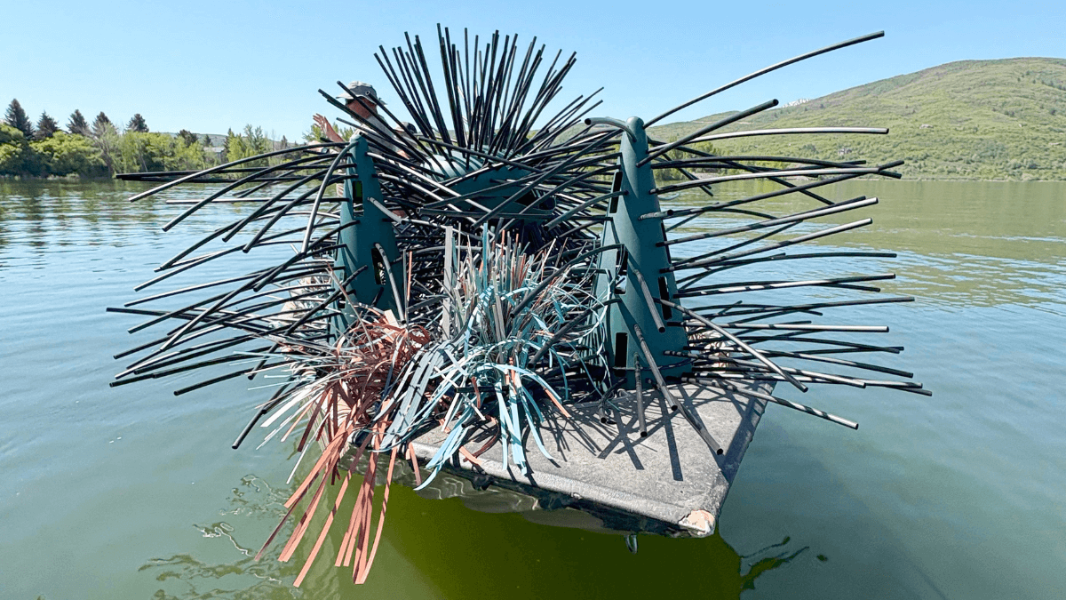 Utah allocates $450K to enhance Blue Ribbon Fisheries in 2025–26