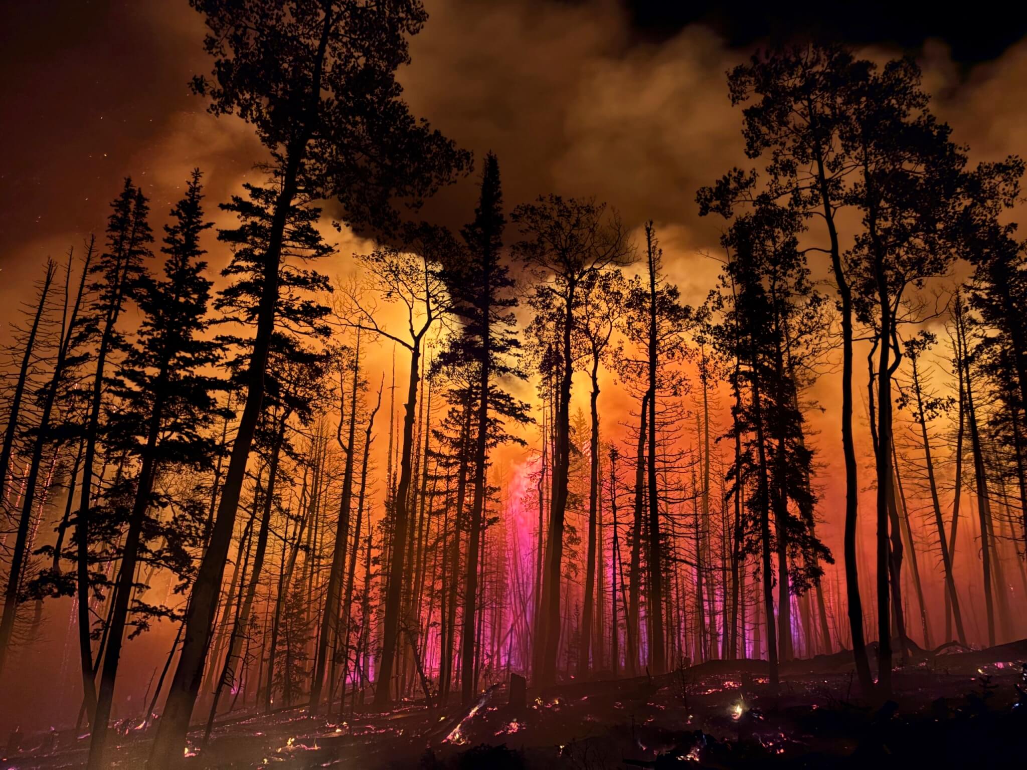 The Monroe Canyon Fire blazes near Monroe, Utah, July 16, 2025.