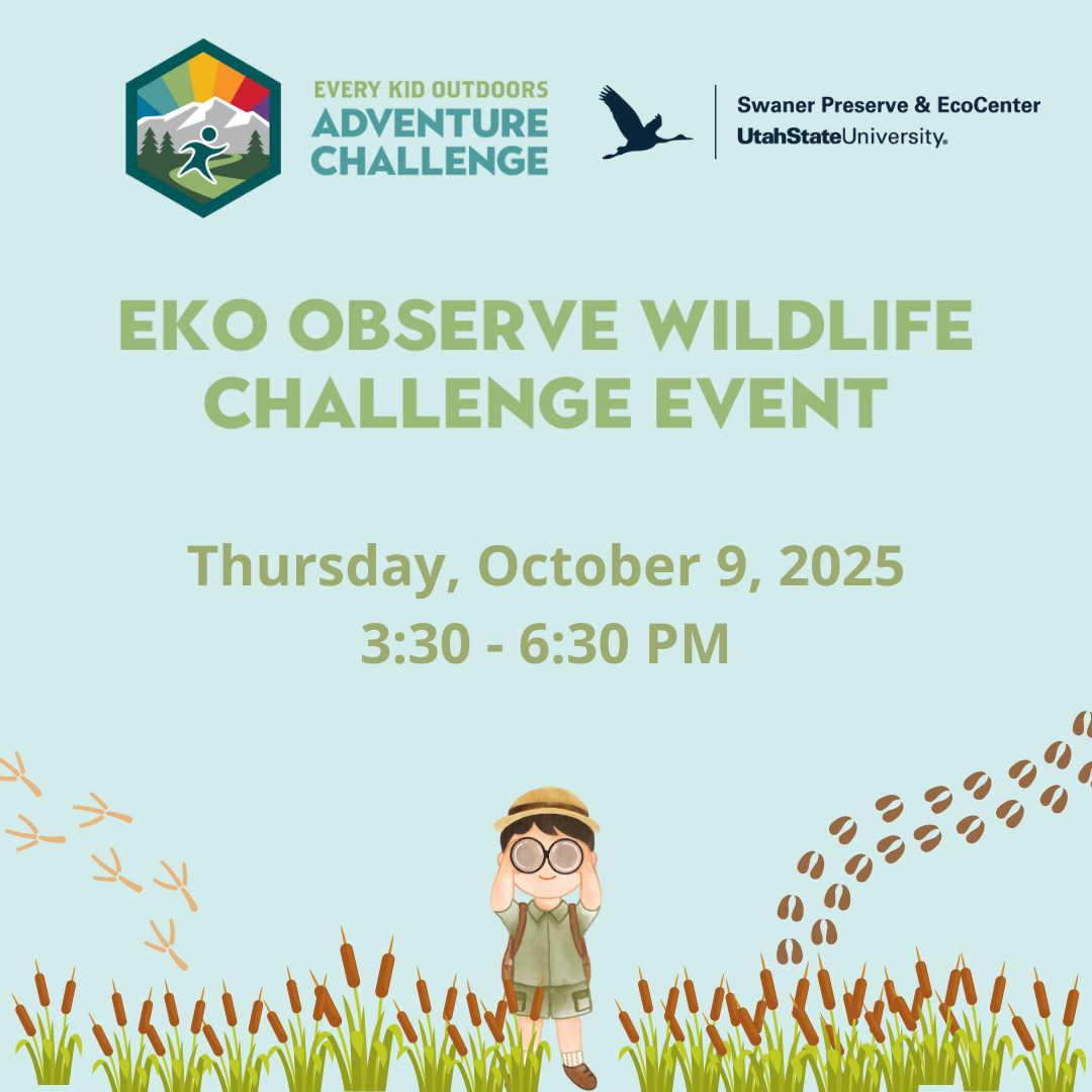 Every Kid Outdoors Observe Wildlife Challenge