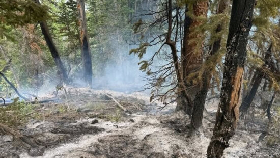 Containment of the Lake Blanch Fire is expected this evening. Officials say the fire cause has been determined to be an abandoned campfire.