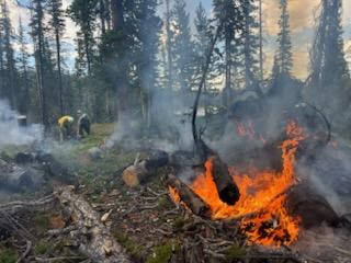 (US Forest Service)