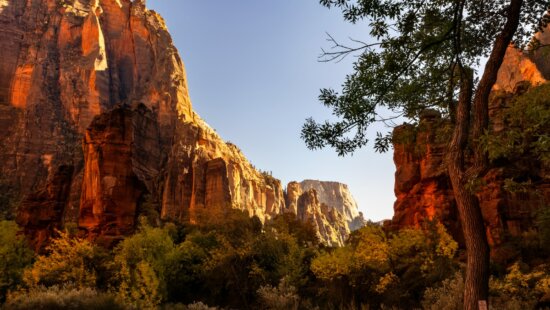 Zion National Park in the fall.