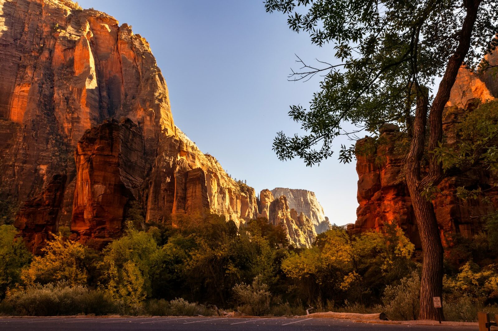 Zion National Park in the fall. 